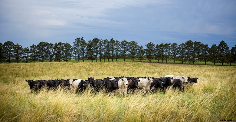 regenerative-ag Meet Allan Savory, the Pioneer of Regenerative Agriculture